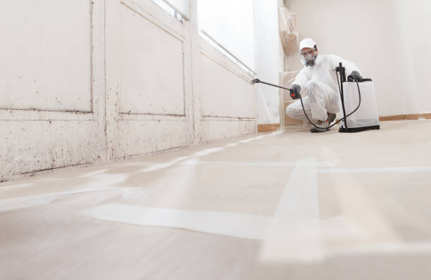 Trusted Mold Testing service in Arcadia, MI - WQB Mold Removal