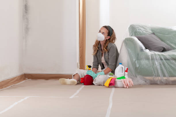 Reliable Mold Testing contractor in Arcadia, MI by WQB Mold Removal